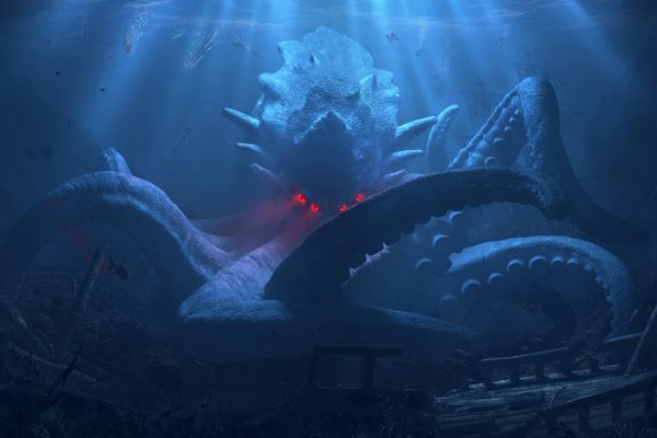 Kraken market