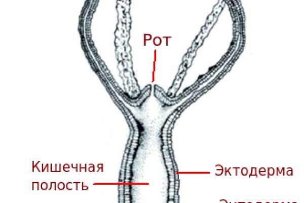 Как зайти на кракен kraken014 com