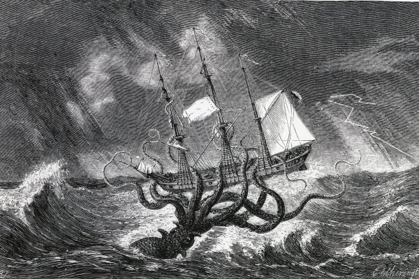 Kraken market